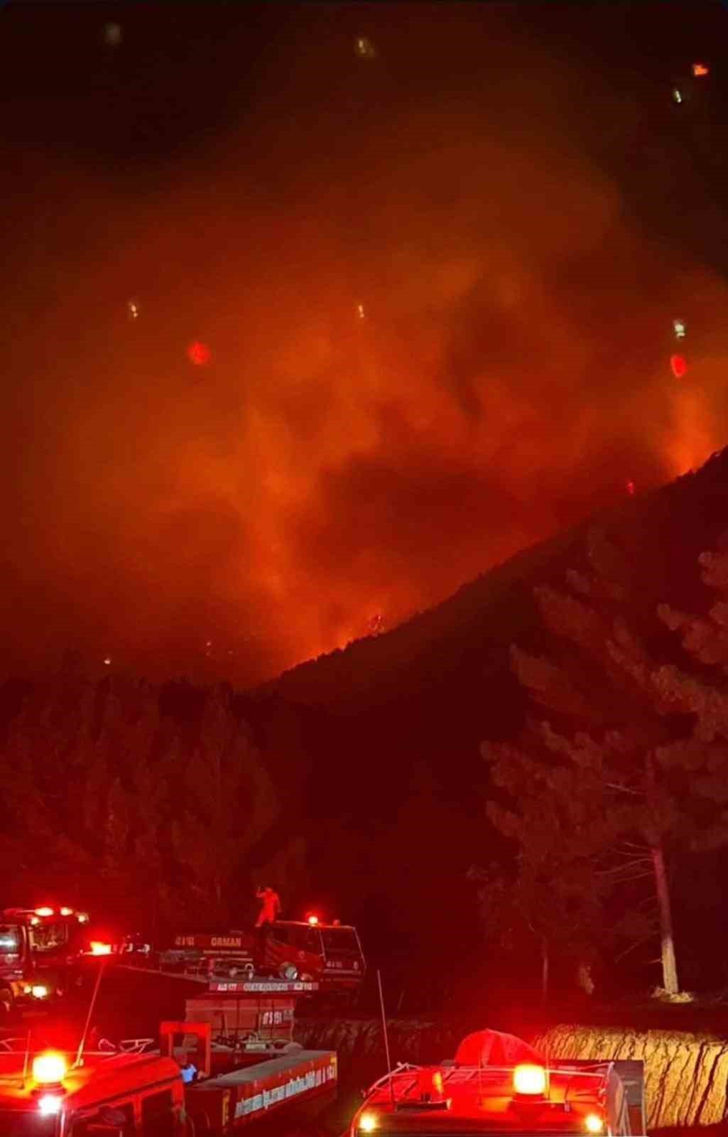 Yaban ke&ccedil;ileri yangın sebebiyle doğal yaşam alanlarından ka&ccedil;arken g&ouml;r&uuml;nt&uuml;lendi
