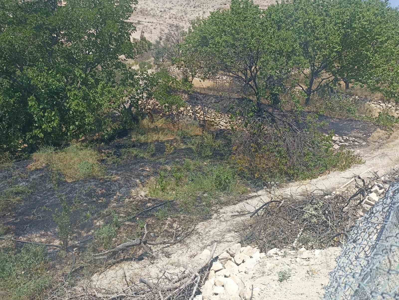 Malatya’da bahçe yangını