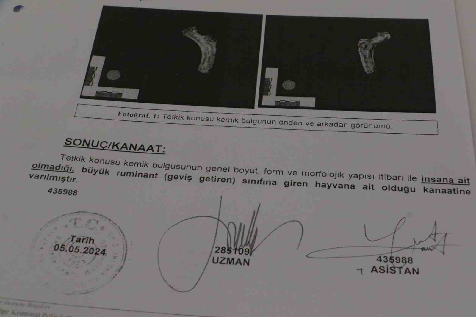 K&ouml;pekleri &ouml;ld&uuml;rd&uuml;ğ&uuml; iddiasıyla tutuklanan sanığın avukatı: "K&ouml;pek &ouml;ld&uuml;rme, işkence yapma gibi iddialar kesinlikle yanlıştır"
