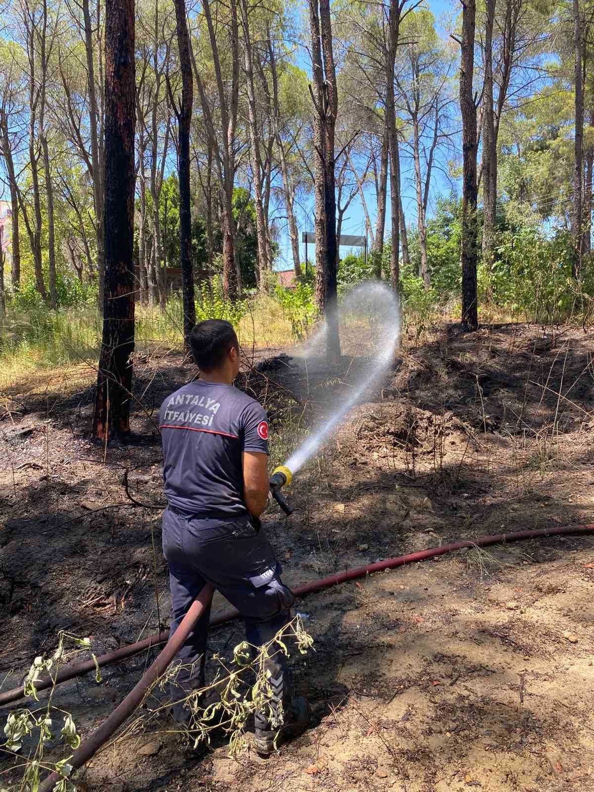 Antalya B&uuml;y&uuml;kşehir Belediyesi İtfaiyesi teyakkuzda
