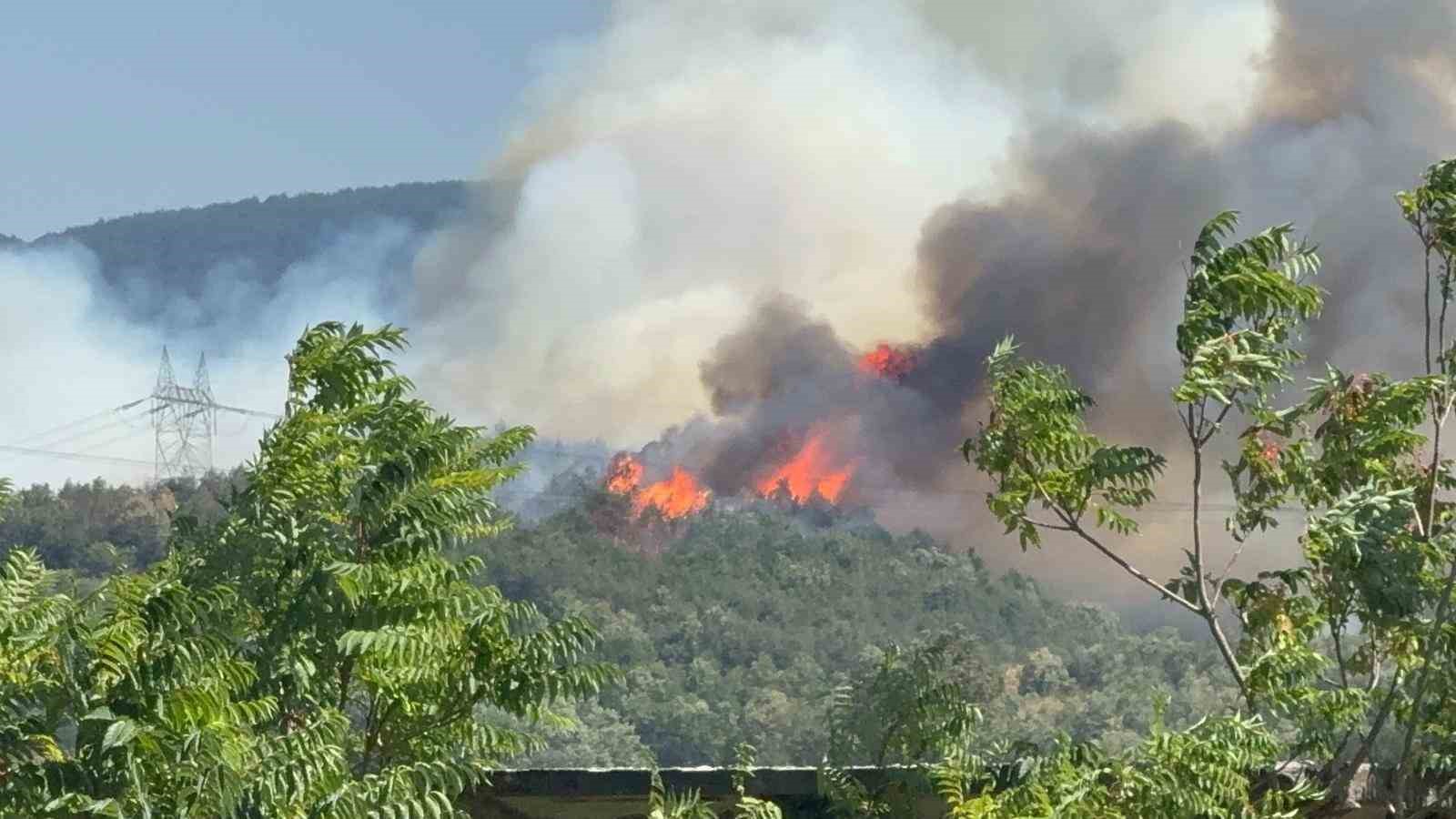 Düzce - Sakarya sınırında orman yangını