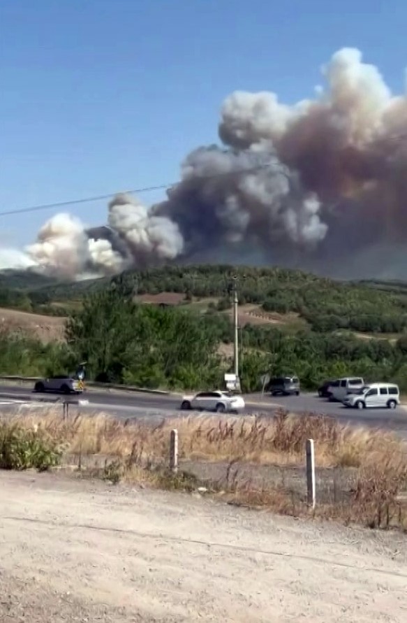 Düzce - Sakarya sınırında orman yangını