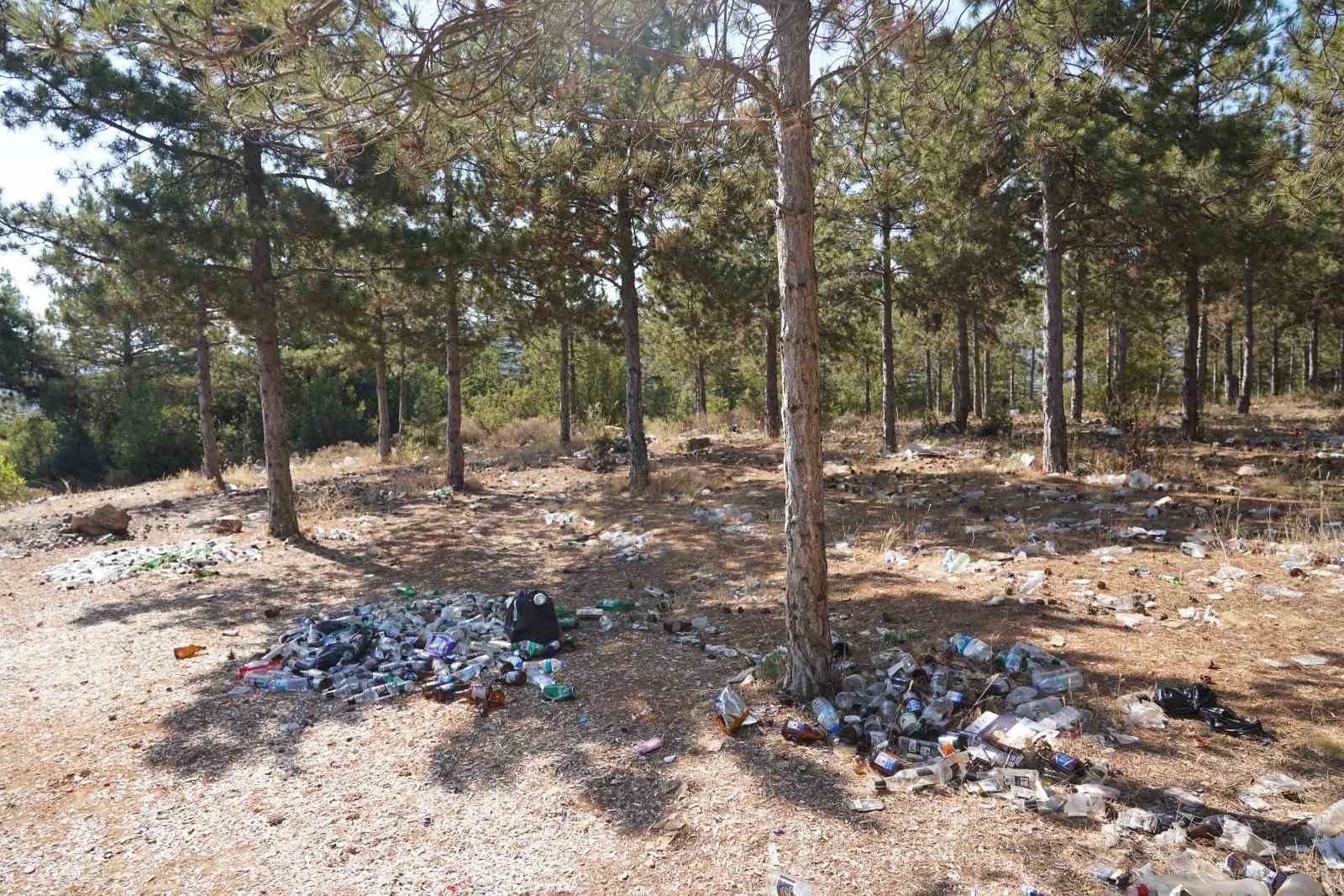 Atat&uuml;rk Ormanı&rsquo;ndan 20 ton &ccedil;&ouml;p &ccedil;ıktı
