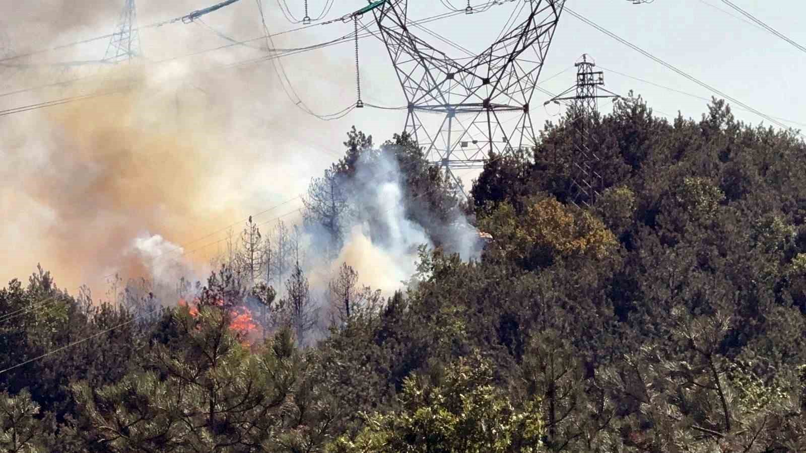 D&uuml;zce - Sakarya sınırında &ccedil;ıkan orman yangınına m&uuml;dahale s&uuml;r&uuml;yor
