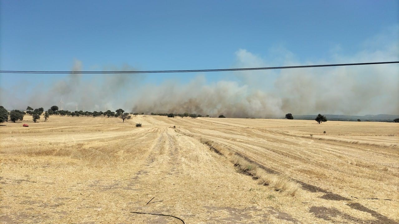Ezine’de tarım arazisinde yangın