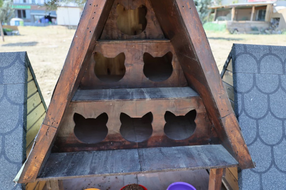 Silivri Belediyesi&rsquo;nden sokak kedileri i&ccedil;in yeni ve g&uuml;venli kedi evleri
