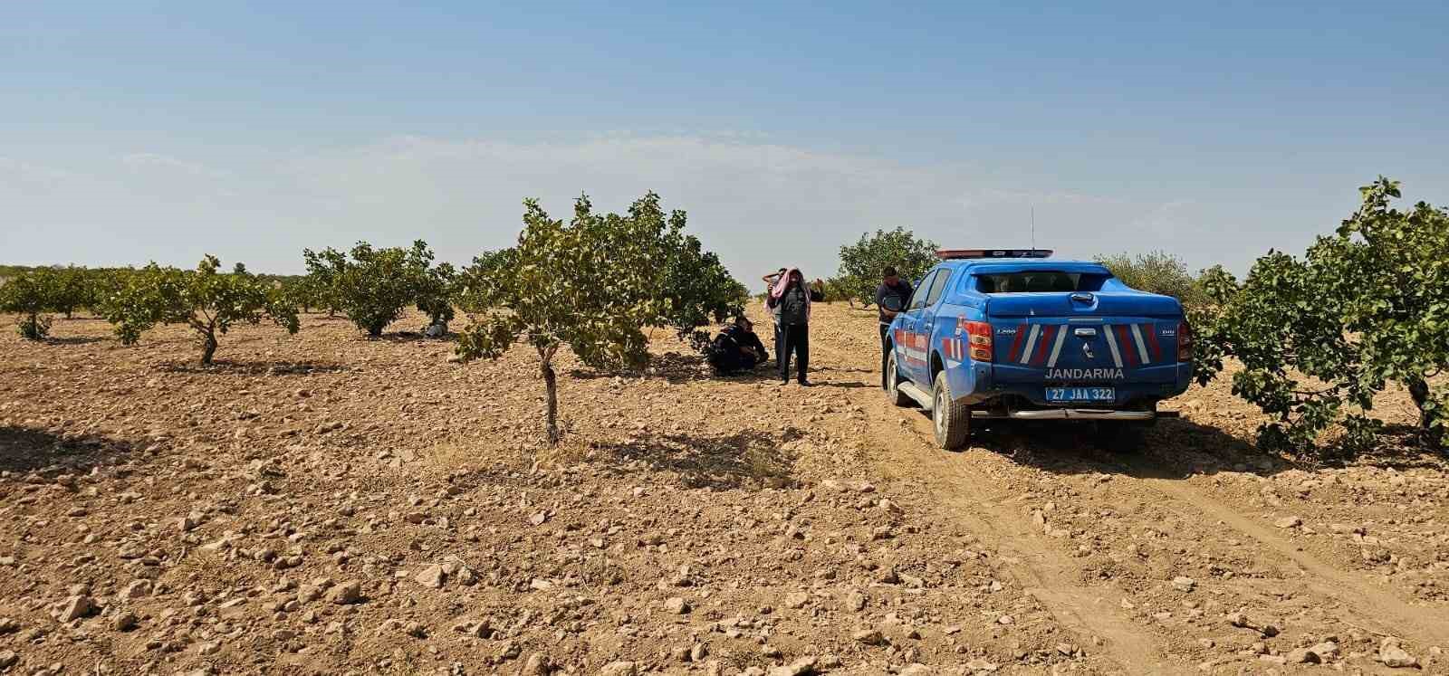 Antep fıstığı hasadı yaparken fenalaşan işçi hayatını kaybetti