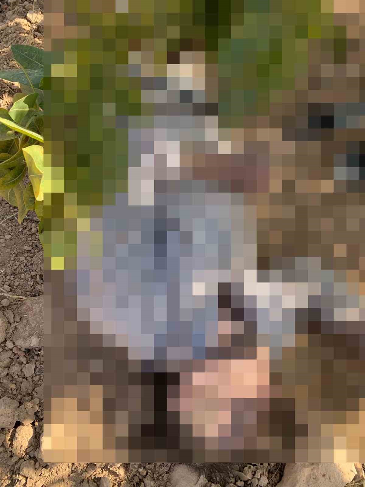 Antep fıstığı hasadı yaparken fenalaşan iş&ccedil;i hayatını kaybetti
