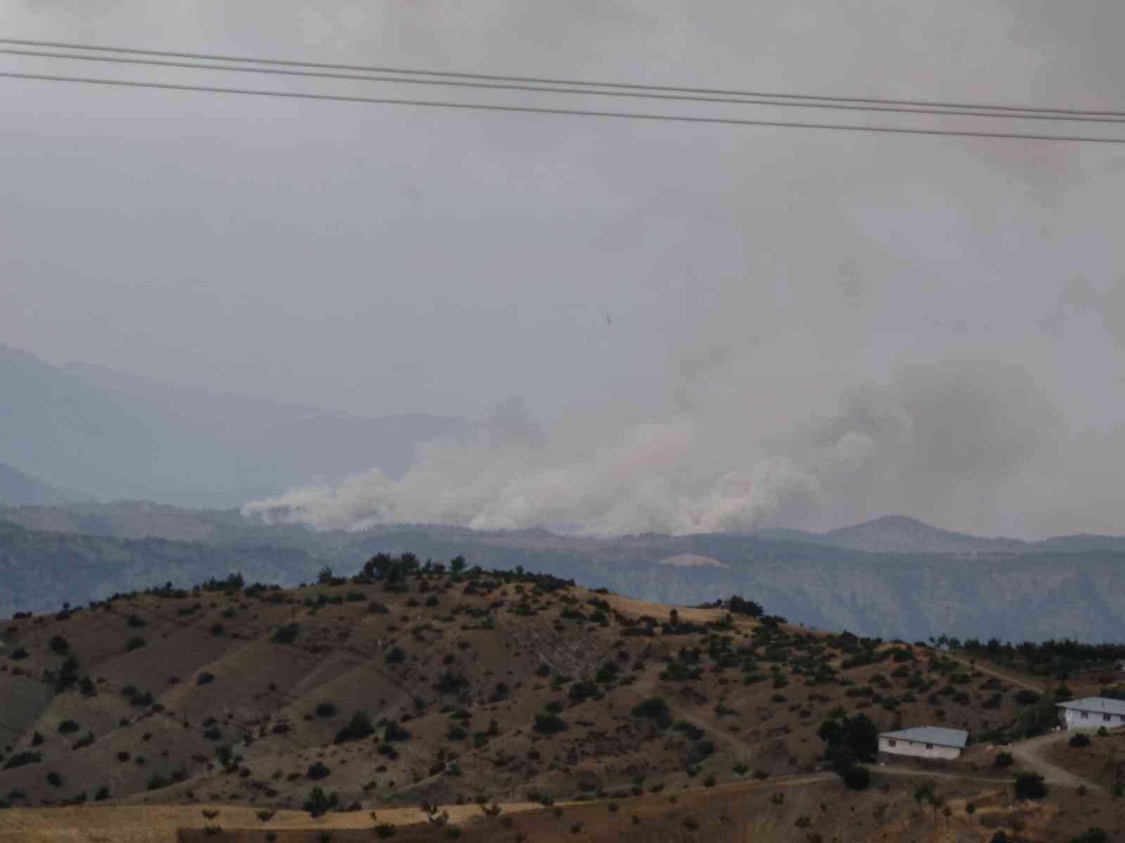 Kahramanmaraş’ta orman yangını