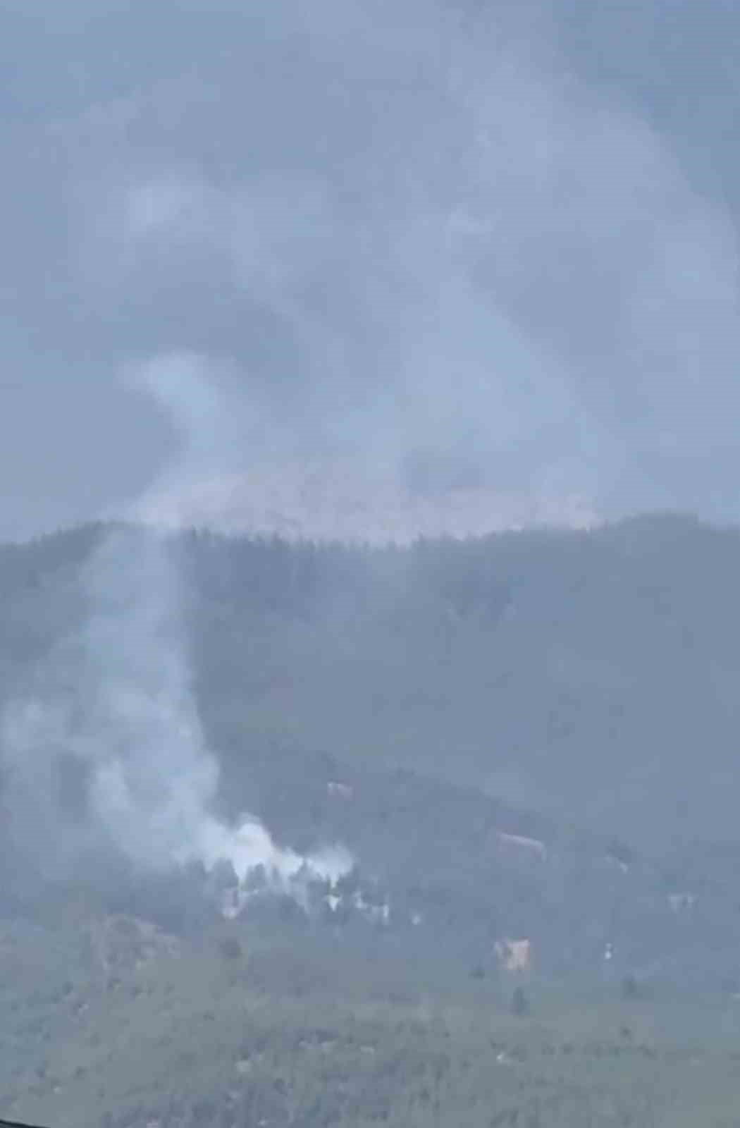 Adana Aladağ’da orman yangını çıktı