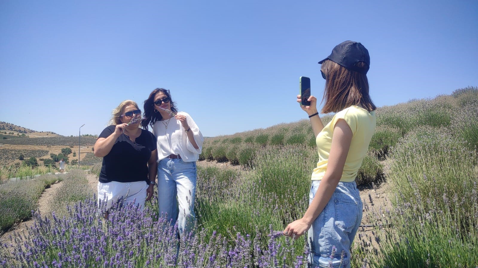 Lavanta tarlalarının mor manzarası eşliğindeki geziye yoğun ilgi