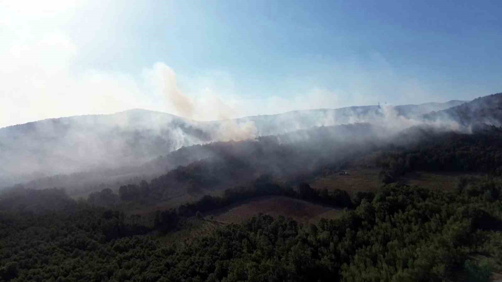 Sakarya-D&uuml;zce sınırındaki yangın b&ouml;lgesi havadan g&ouml;r&uuml;nt&uuml;lendi
