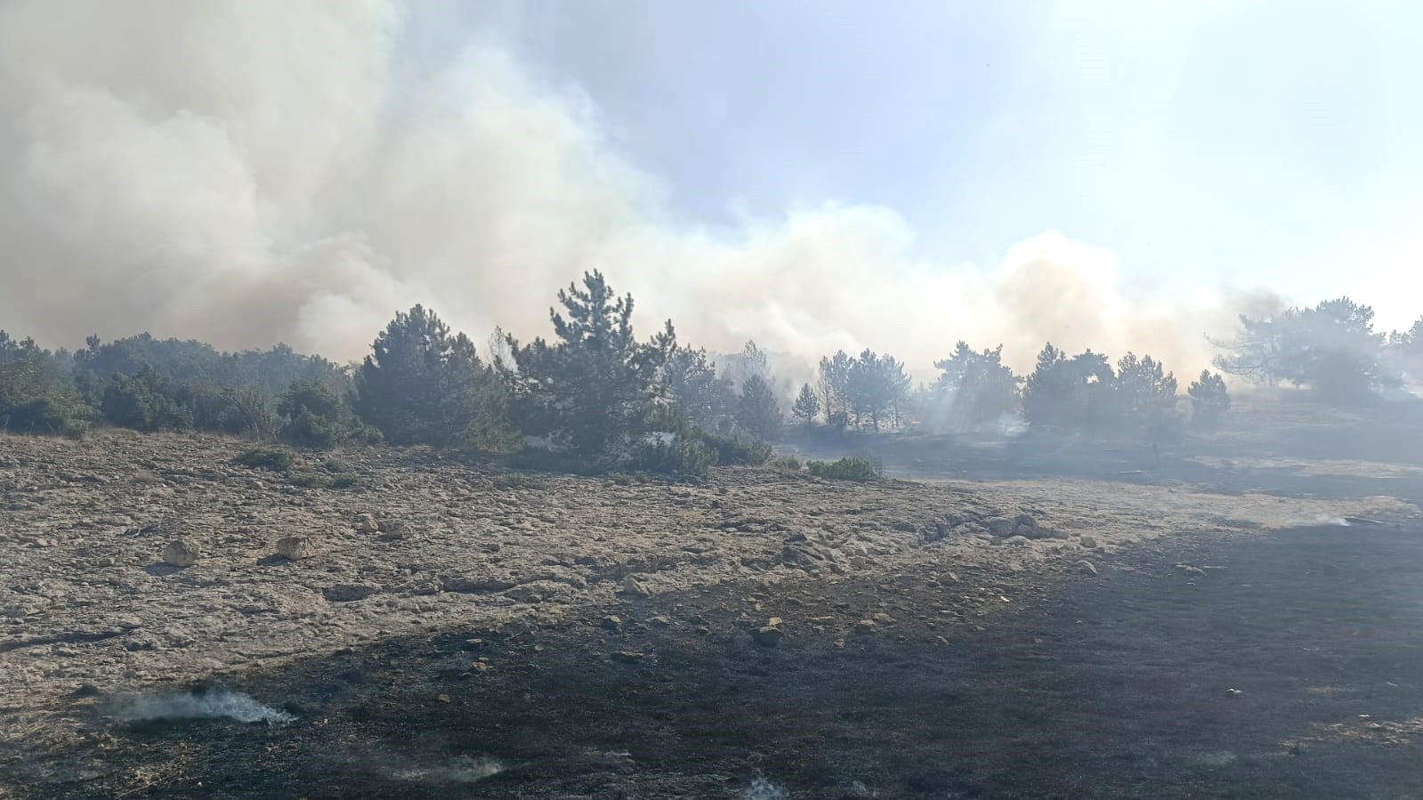 Kütahya’nın Sofça köyü yakınlarındaki orman yangını korkuttu