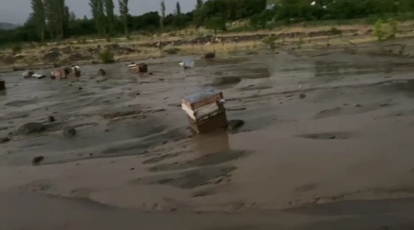 Kars&rsquo;ta sel felaketi: Arı kovanları sular altında kaldı
