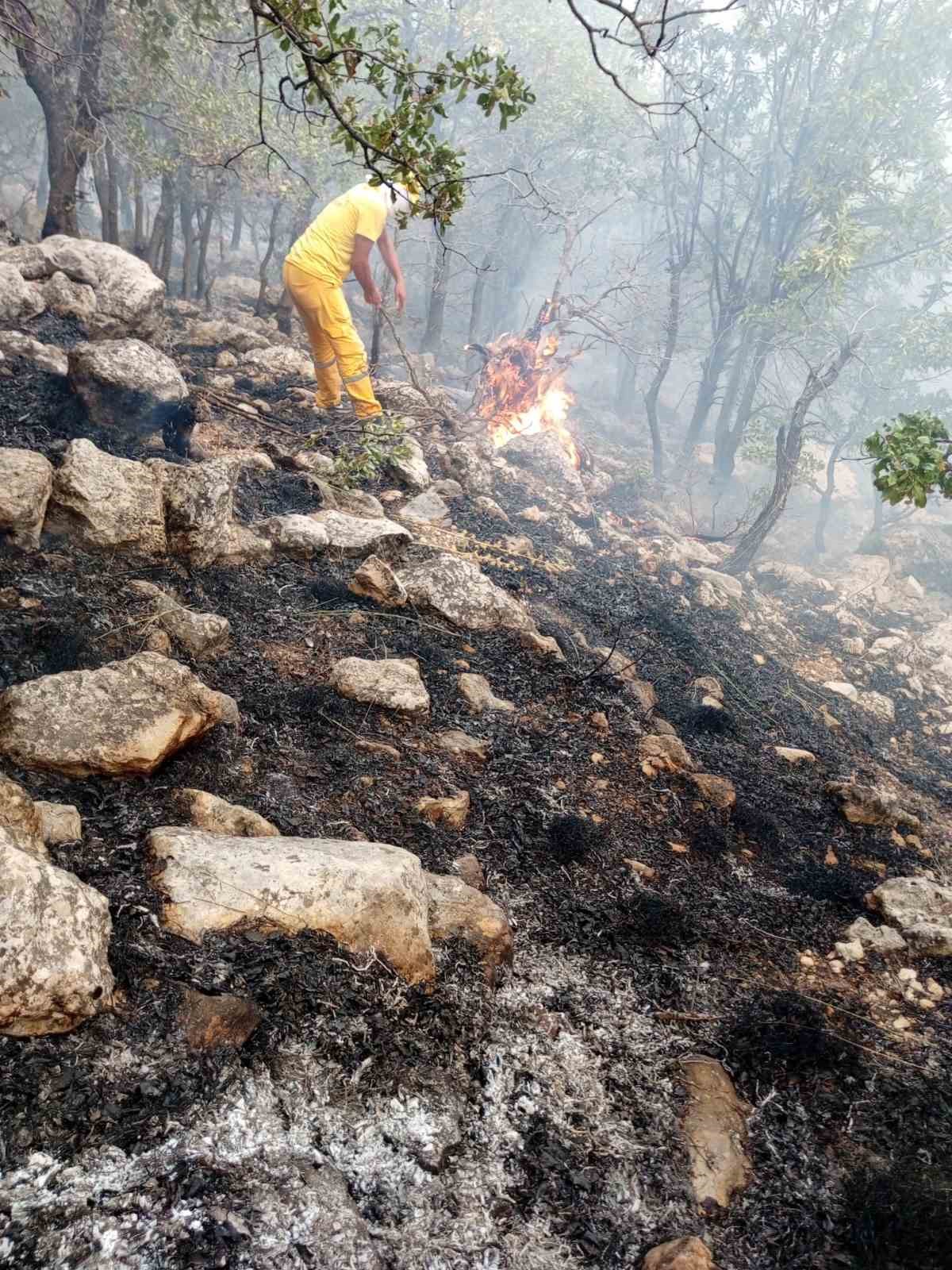 Diyarbakır’da orman yangınına helikopter destekli müdahale sürüyor