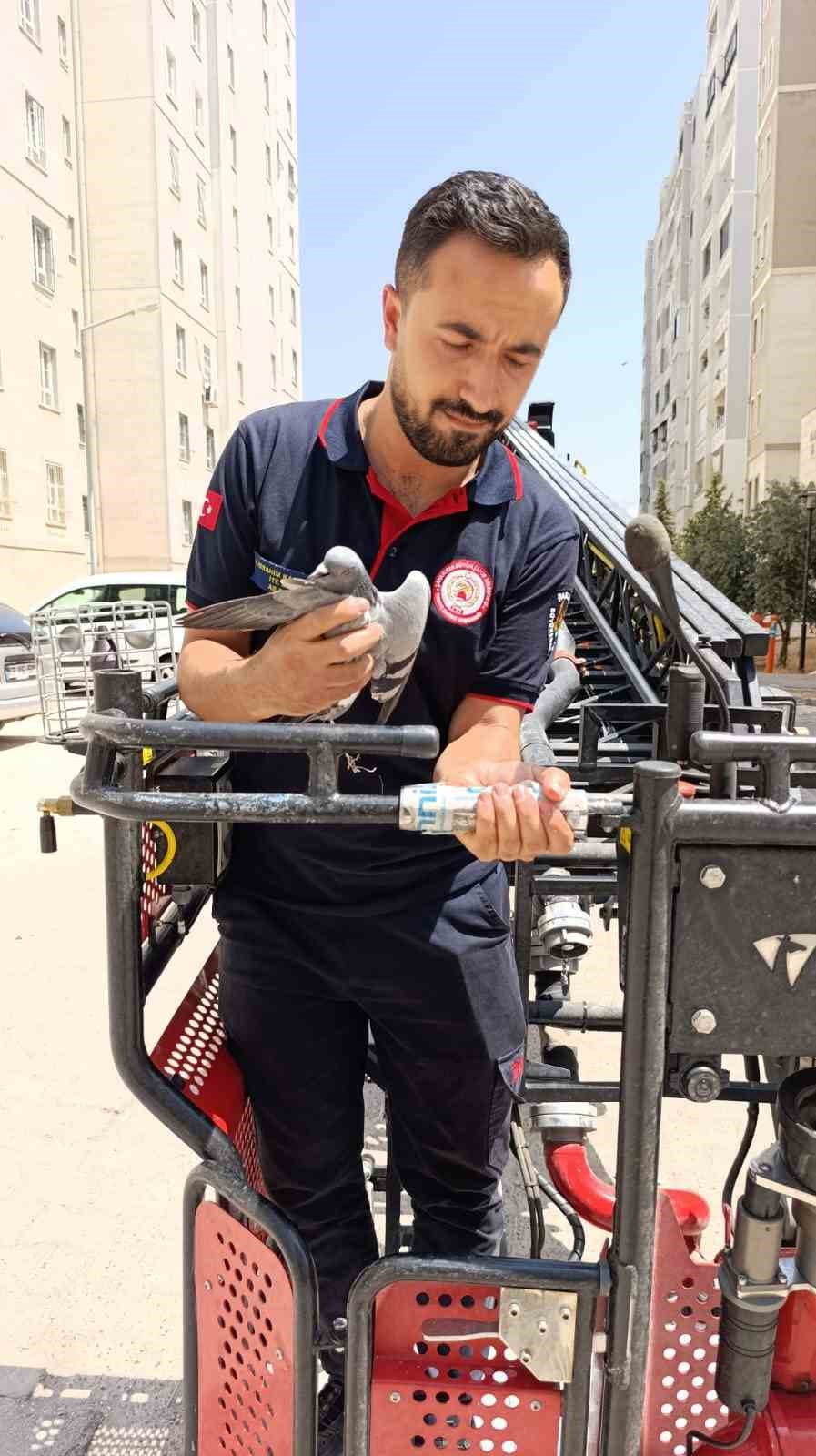 Şanlıurfa&rsquo;da itfaiyeden g&uuml;vercin kurtarma operasyonu
