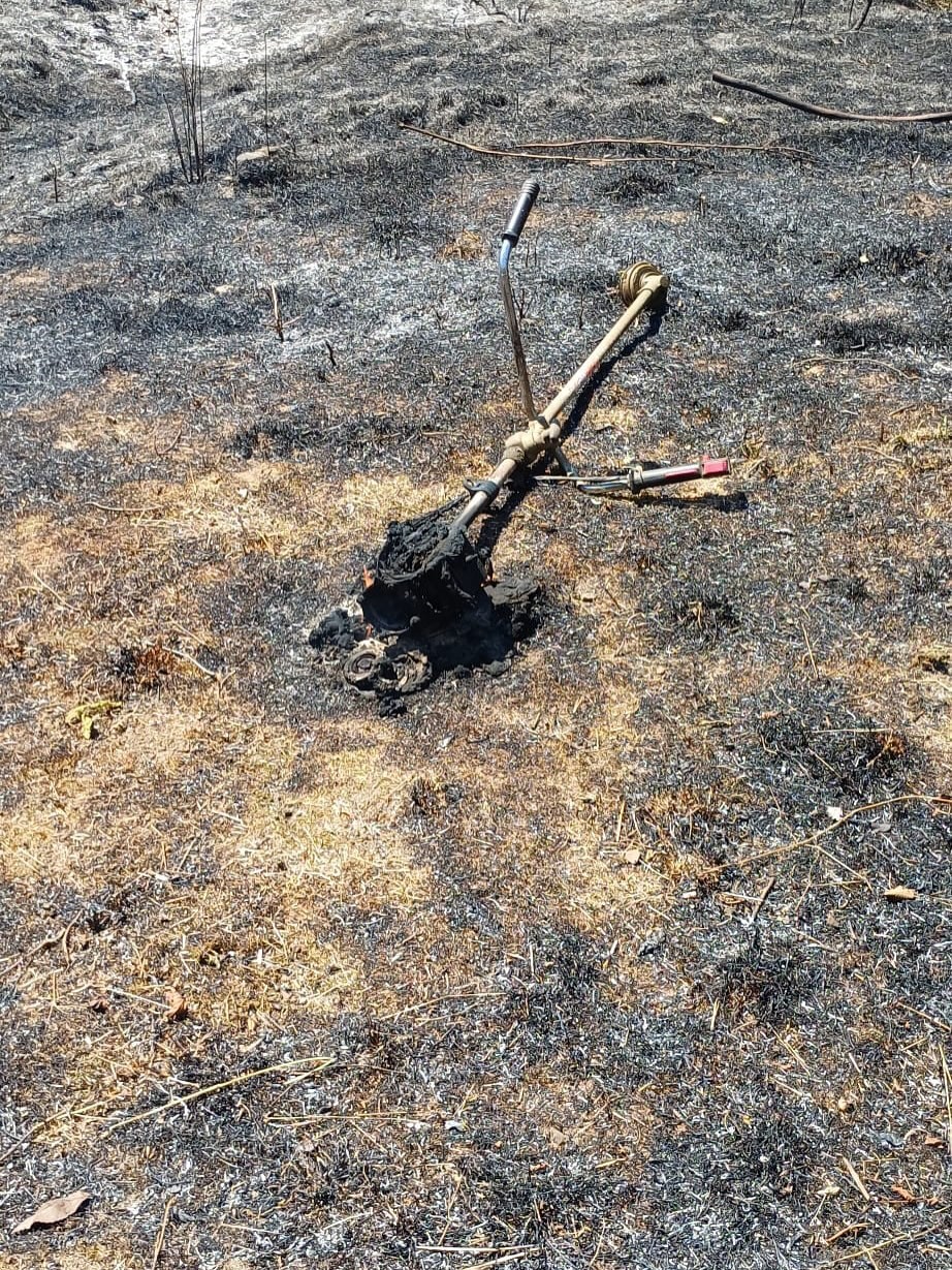 Tırpan motoru fındık bah&ccedil;esini yaktı
