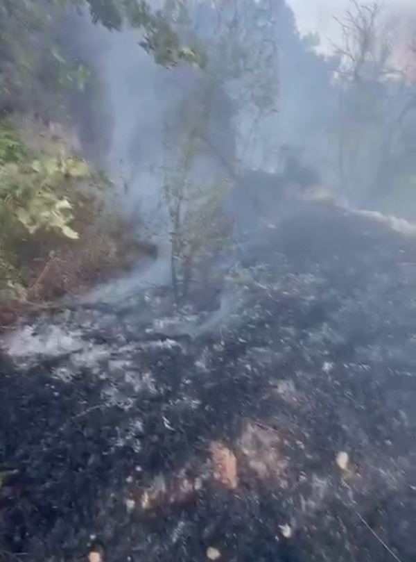 Datça’da kuru ot yangını korkuttu