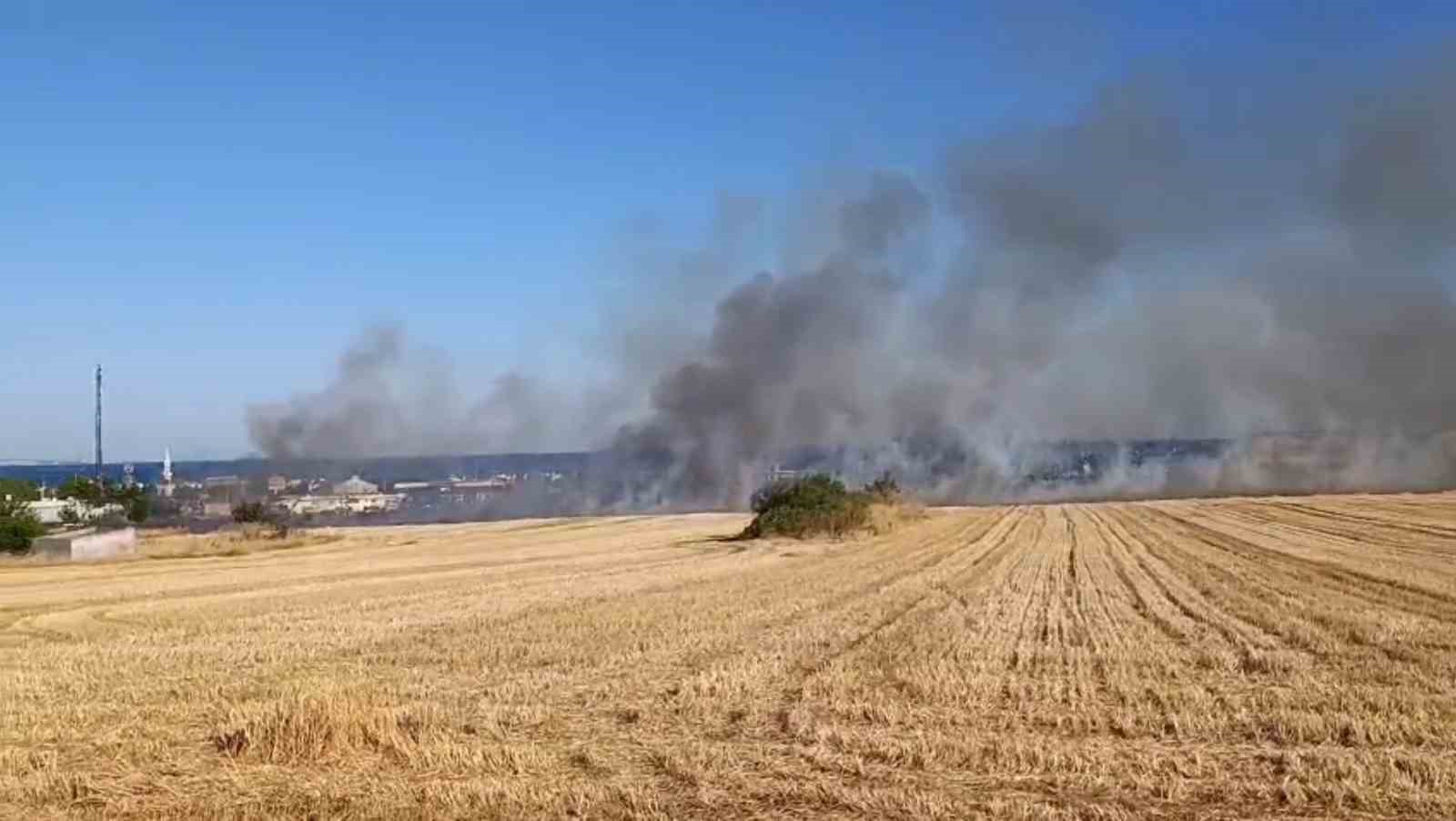Yol kenarına atıdığı iddia edilen izmarit yangın çıkardı: Tekirdağ-İstanbul yolu dumanlarla kaplandı
