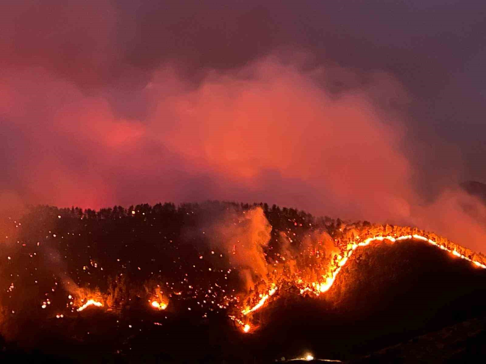 Kahramanmaraş&rsquo;ta orman yangınına m&uuml;dahale s&uuml;r&uuml;yor
