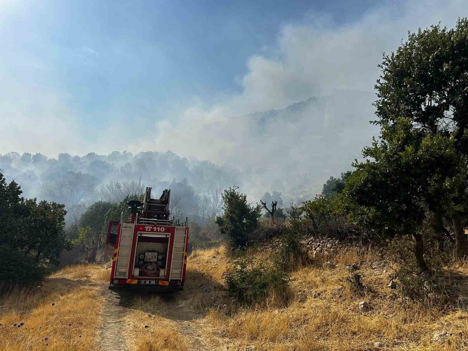 Diyarbakır’da çıkan orman yangınına 9 saattir müdahale devam ediyor