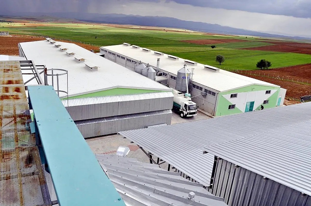 (Düzeltme) Afyonkarahisar’daki yumurta firmasına, FETÖ soruşturması kapsamında kayyum atandı