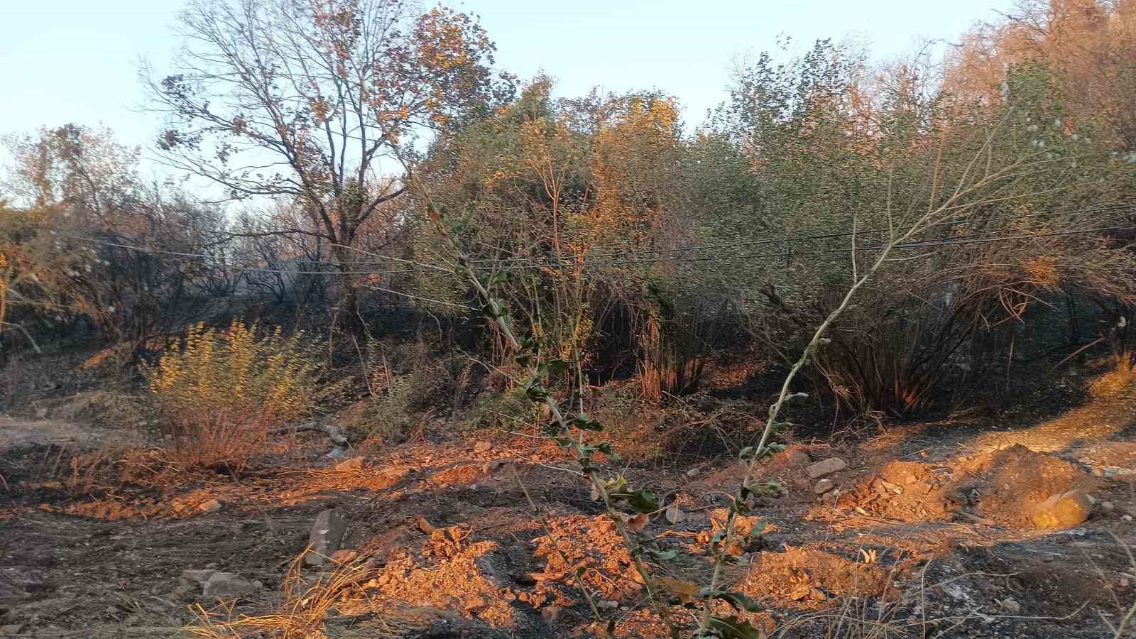 Kocaeli&rsquo;nin farklı noktalarında aynı anda &ccedil;ıkan yangınlara m&uuml;dahale s&uuml;r&uuml;yor
