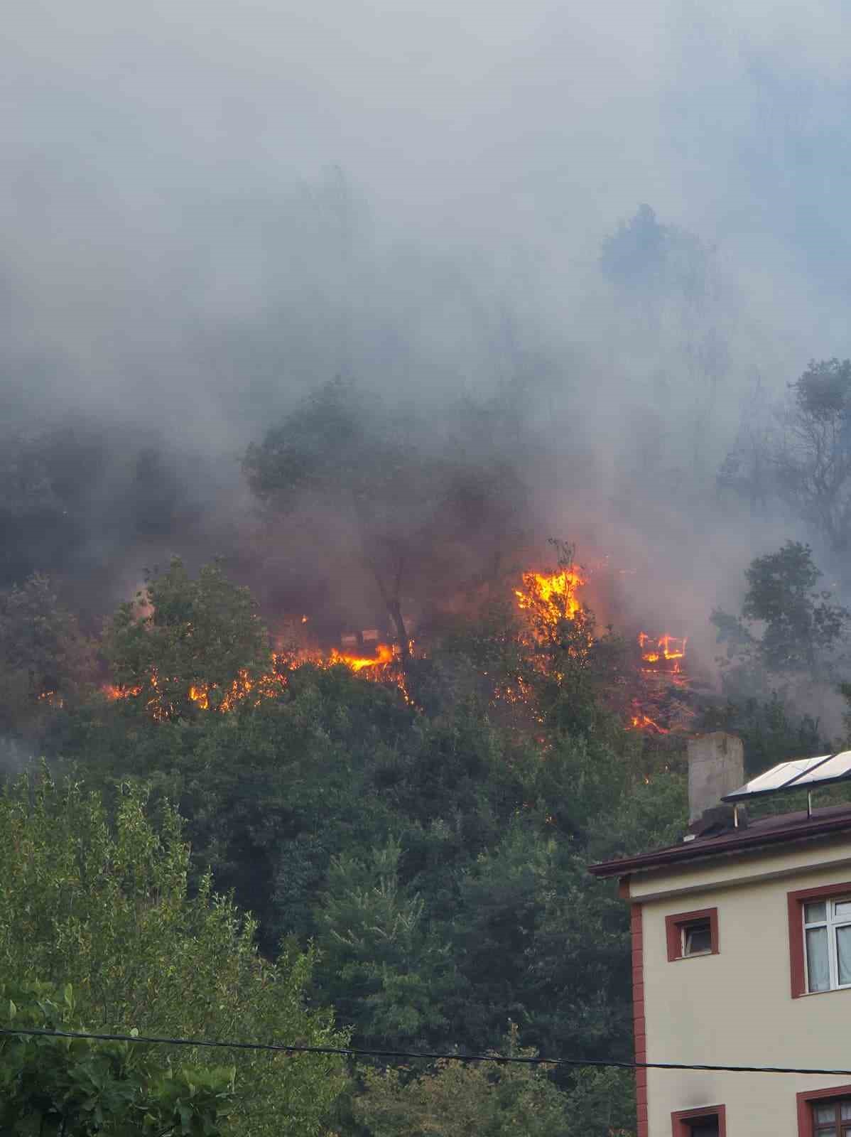 Karadeniz Ereğli&rsquo;deki orman yangını 3,5 saat sonra kontrol altına alındı
