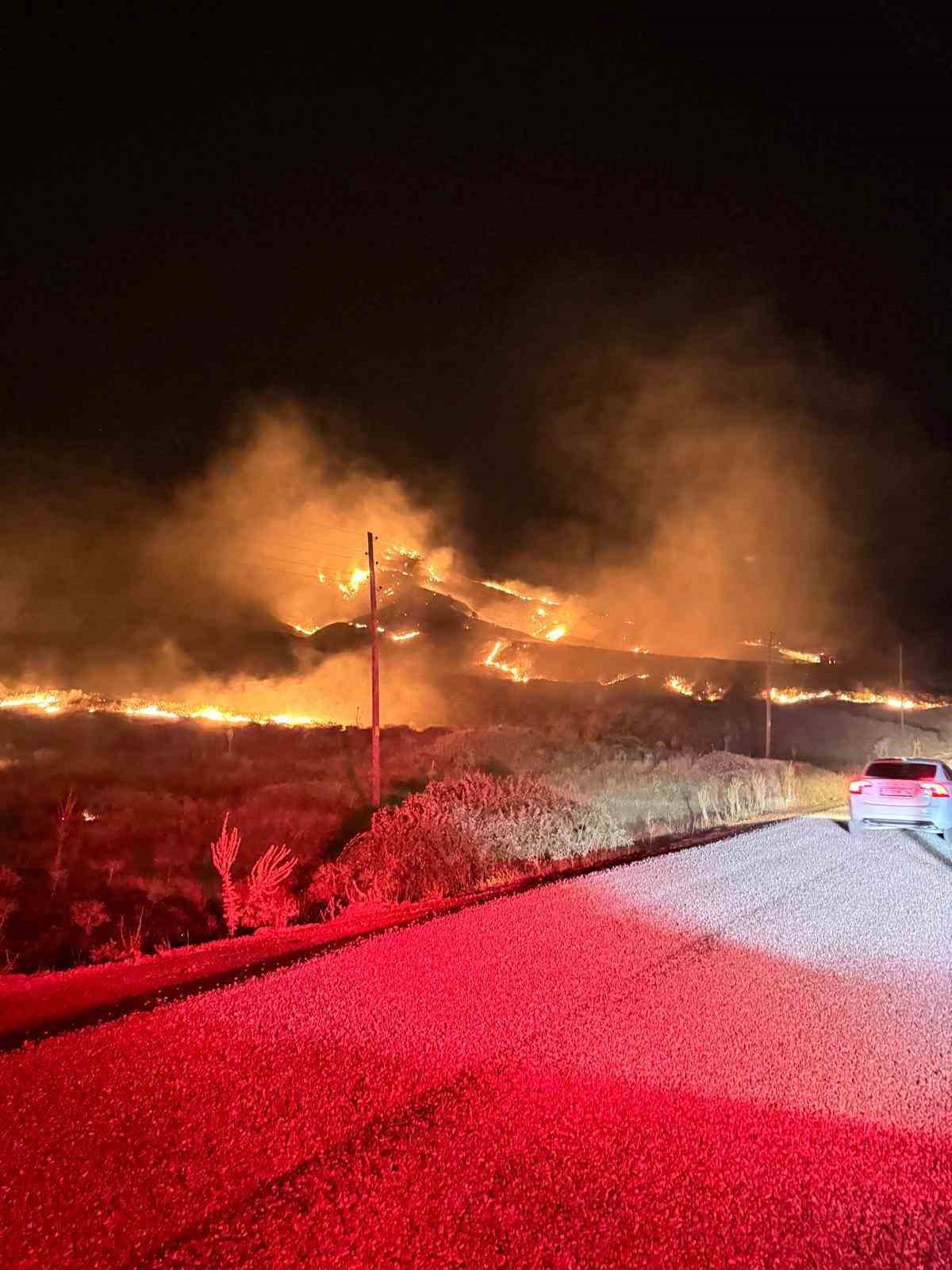 Bingöl’deki orman yangını söndürüldü