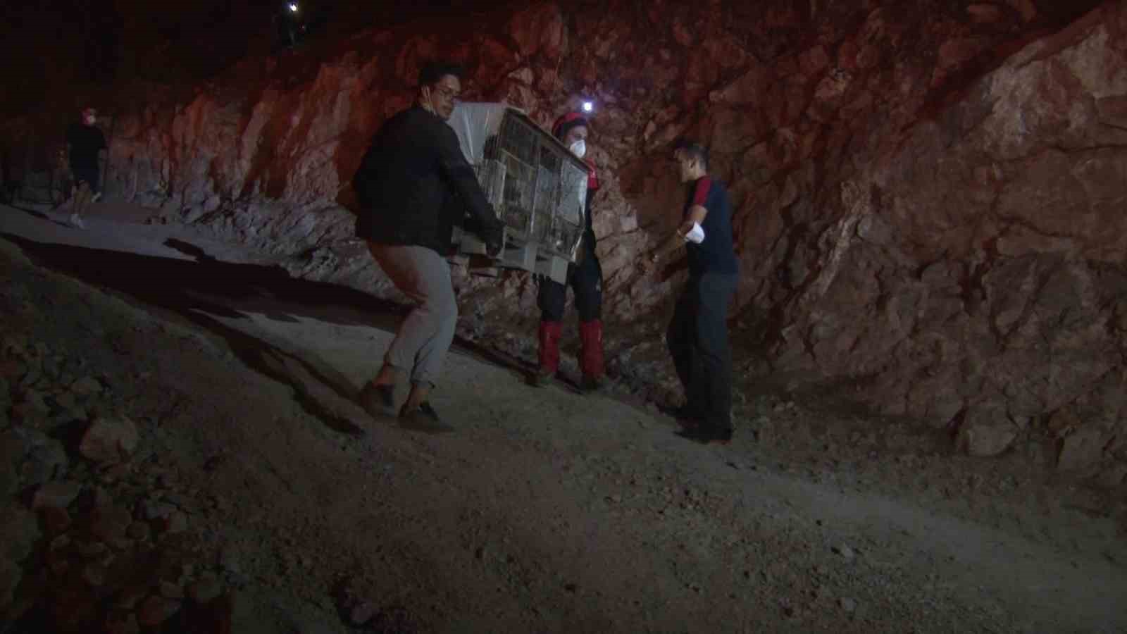 Bursa’daki yangından etkilenen hayvanlar böyle kurtarıldı