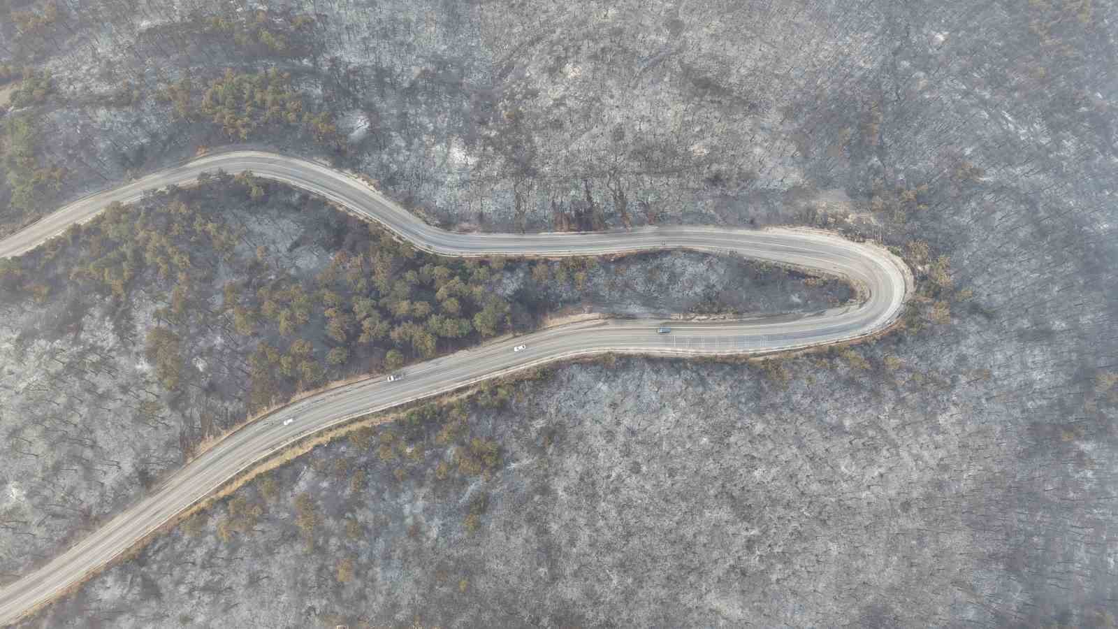 Bursa’daki yangının acı boyutu gün ağarınca ortaya çıktı