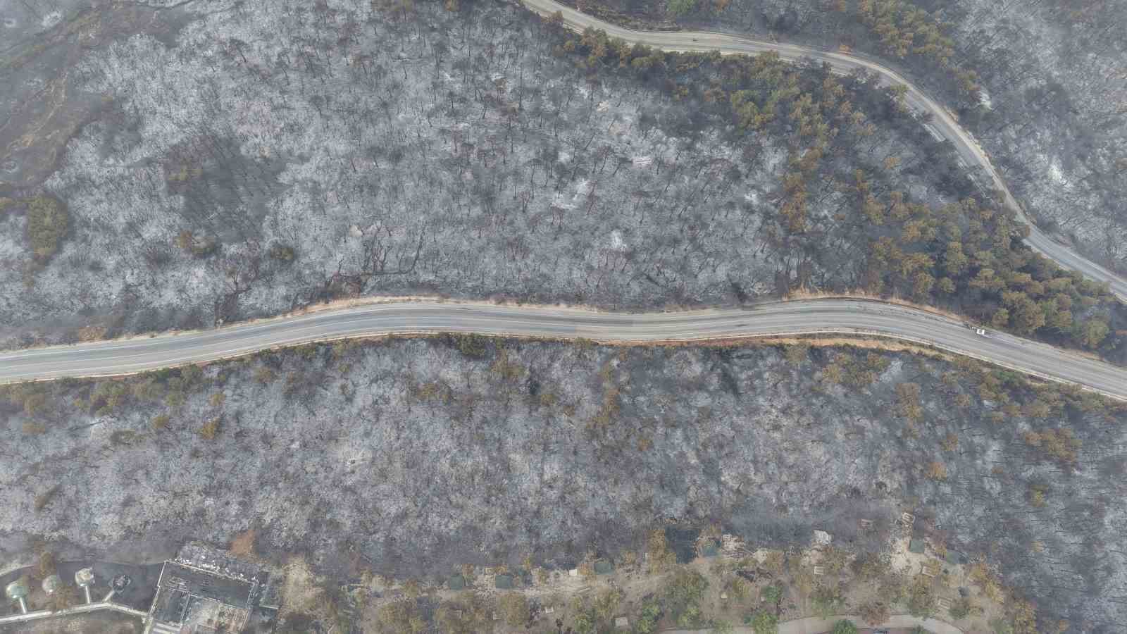 Bursa’daki yangının acı boyutu gün ağarınca ortaya çıktı