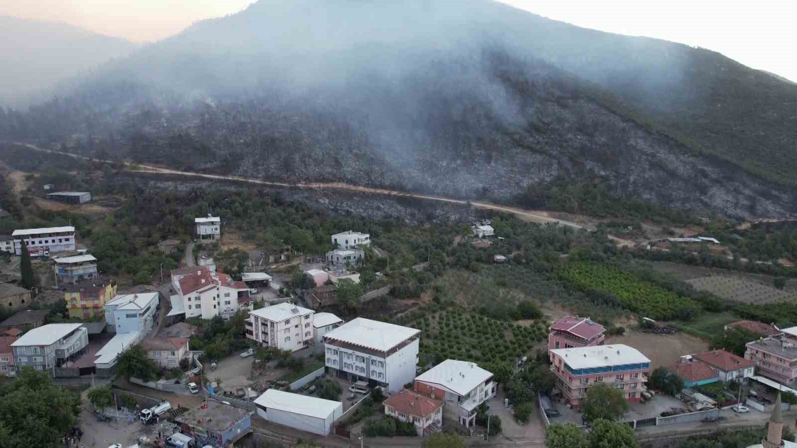 Bursa&rsquo;daki yangının acı boyutu g&uuml;n ağarınca ortaya &ccedil;ıktı
