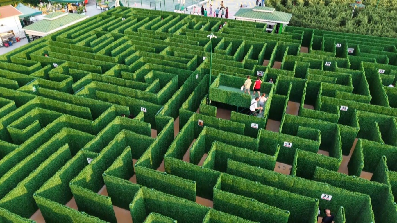 Soruları bilemeyen labirentten çıkamıyor