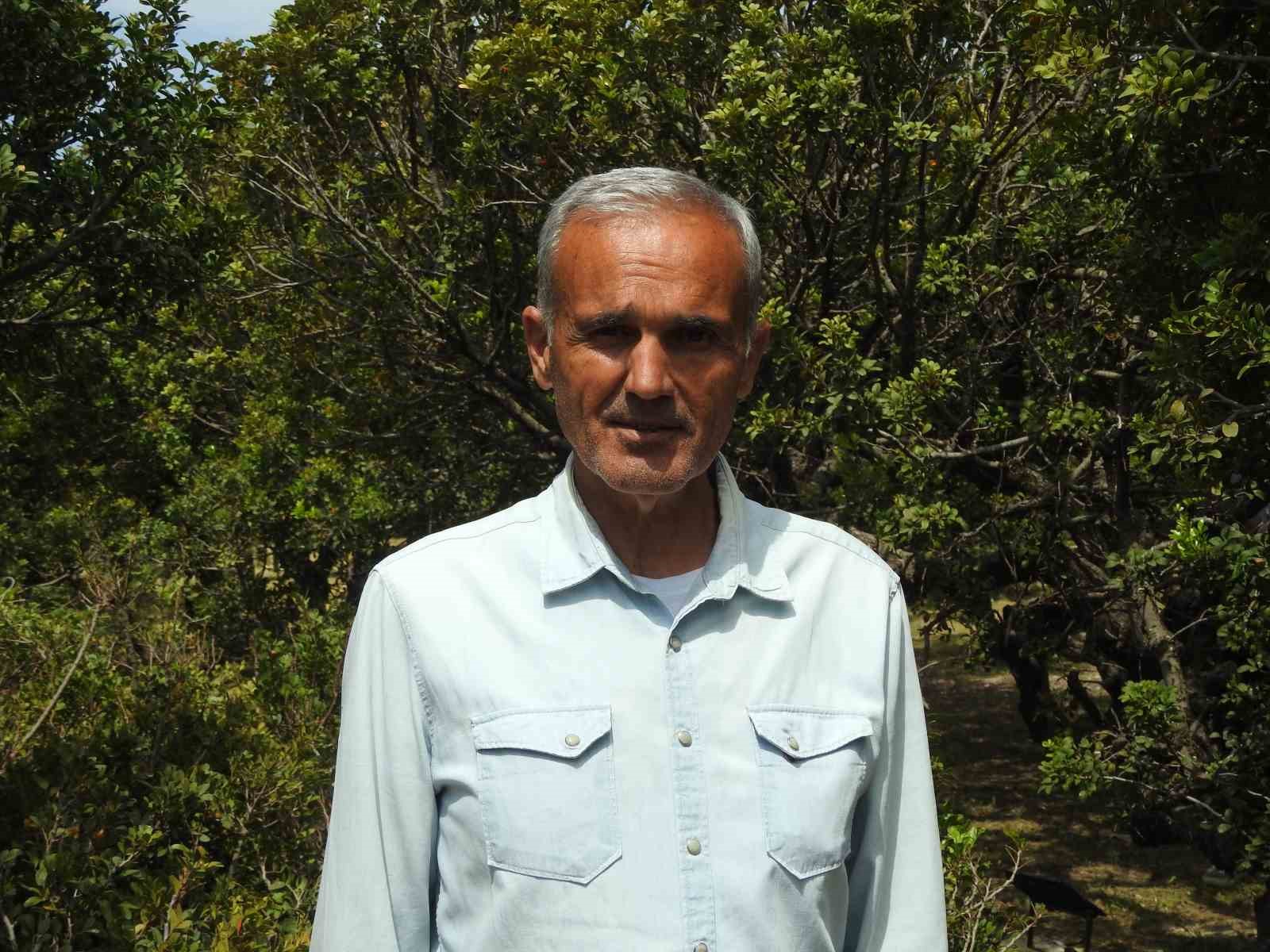 &Ccedil;eşme&rsquo;de ağa&ccedil;lardan sakız damlayacak
