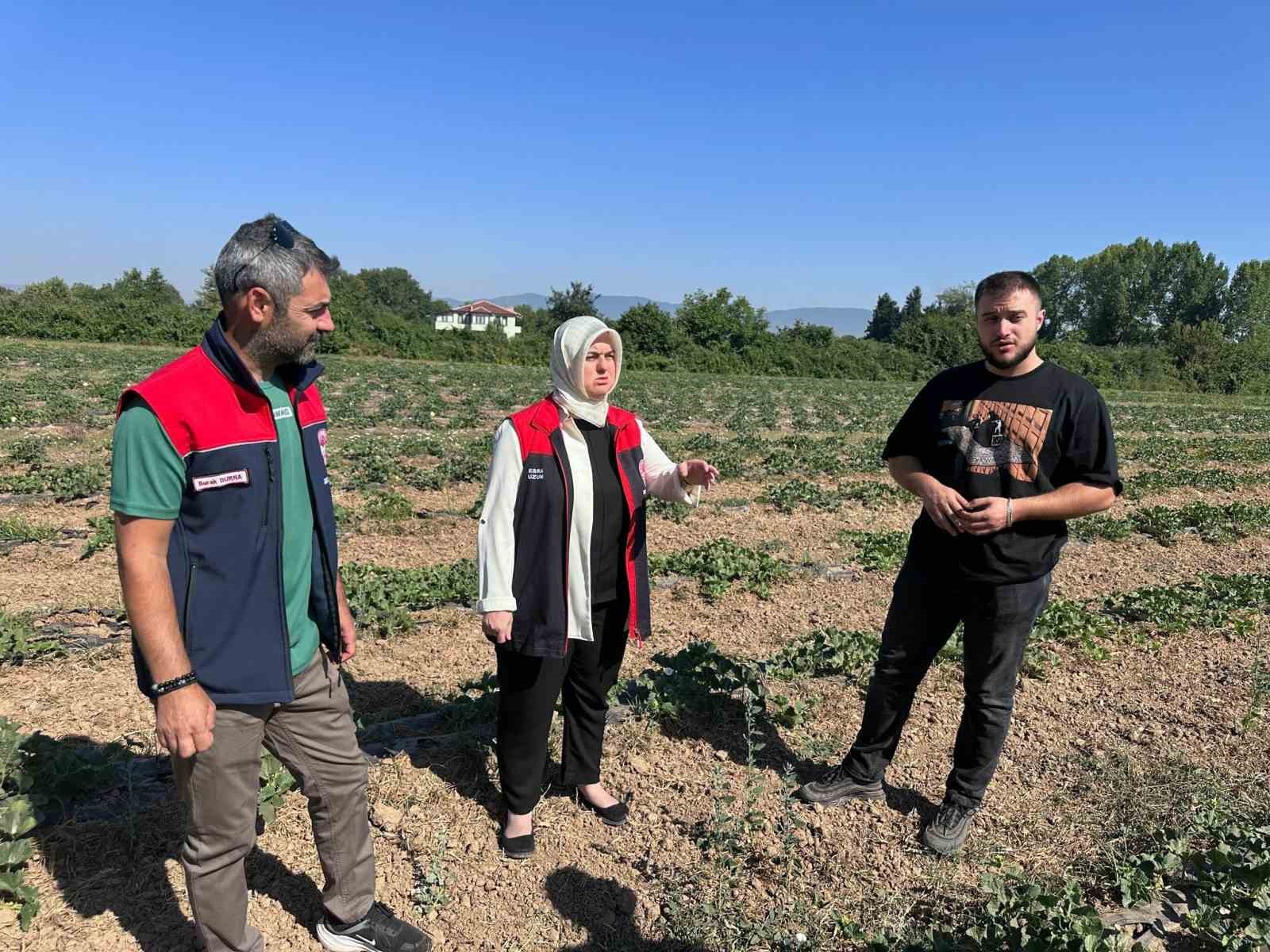 Genç çiftçiden örnek tarım uygulaması
