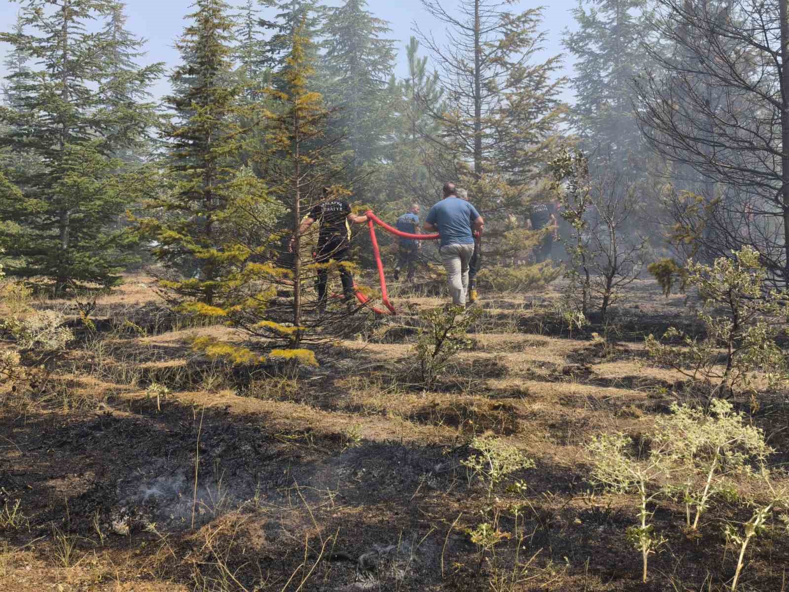 Malatya’daki orman yangını söndürüldü
