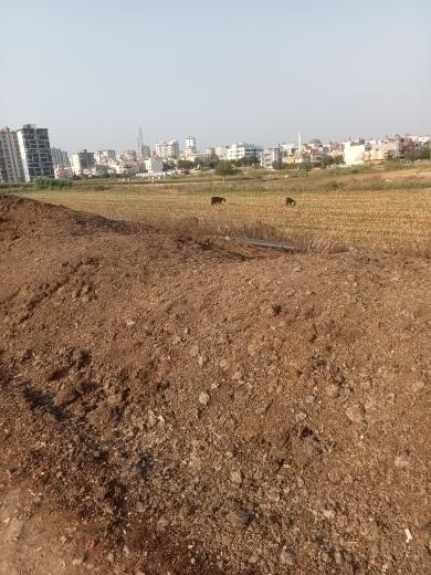 Mahalleye atılan tavuk pisliği kokusu vatandaşı &ccedil;ileden &ccedil;ıkardı
