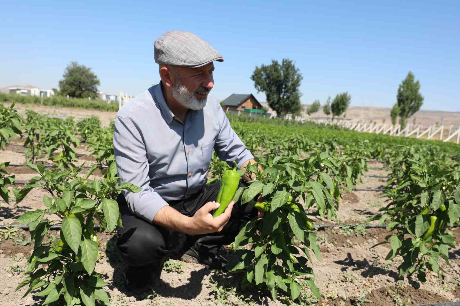Başkan Çolakbayrakdar: Ata tohumlarımızı yaşatıyor, geleceğe taşıyoruz"