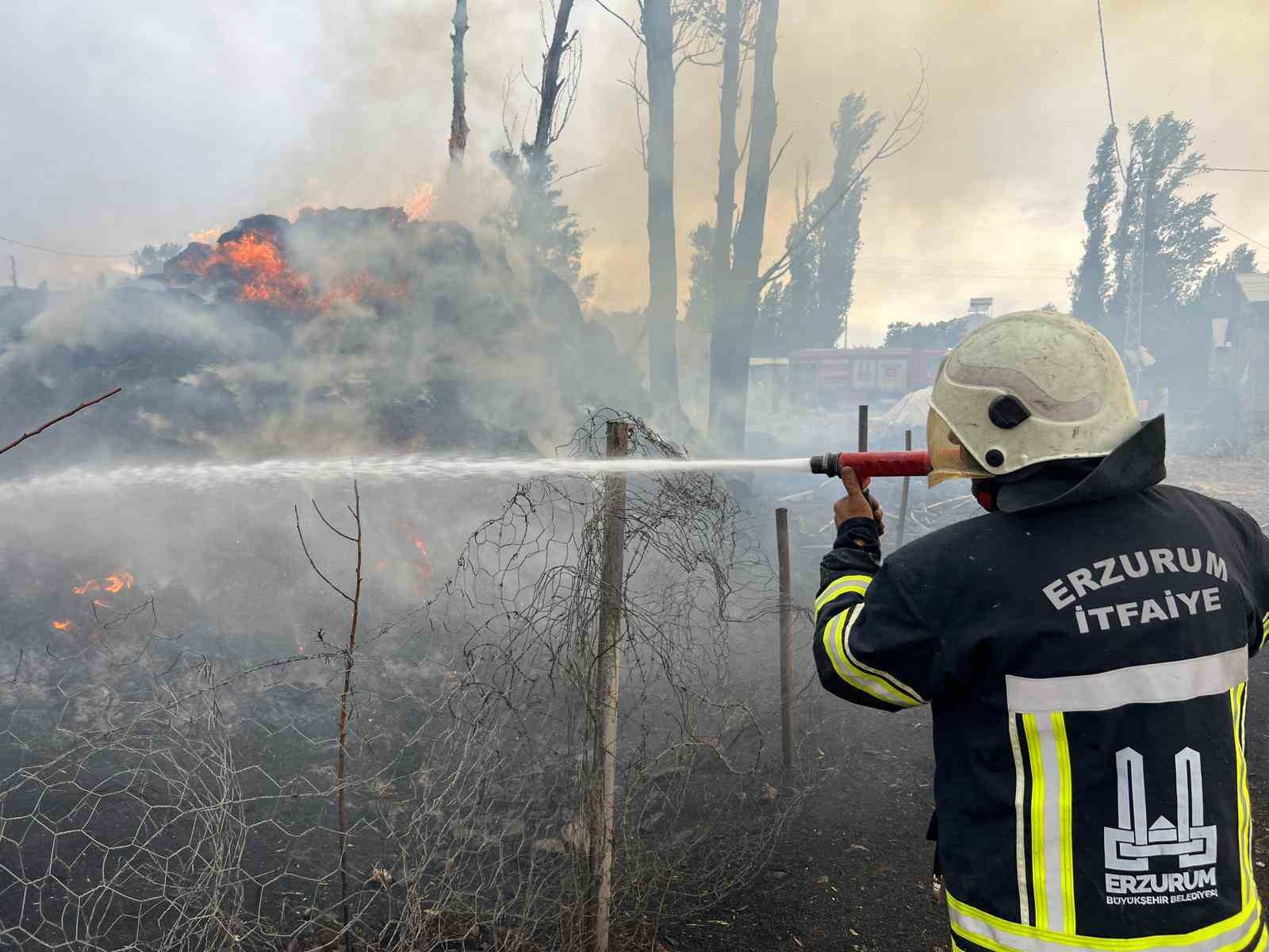 Hınıs’ta ot yangını