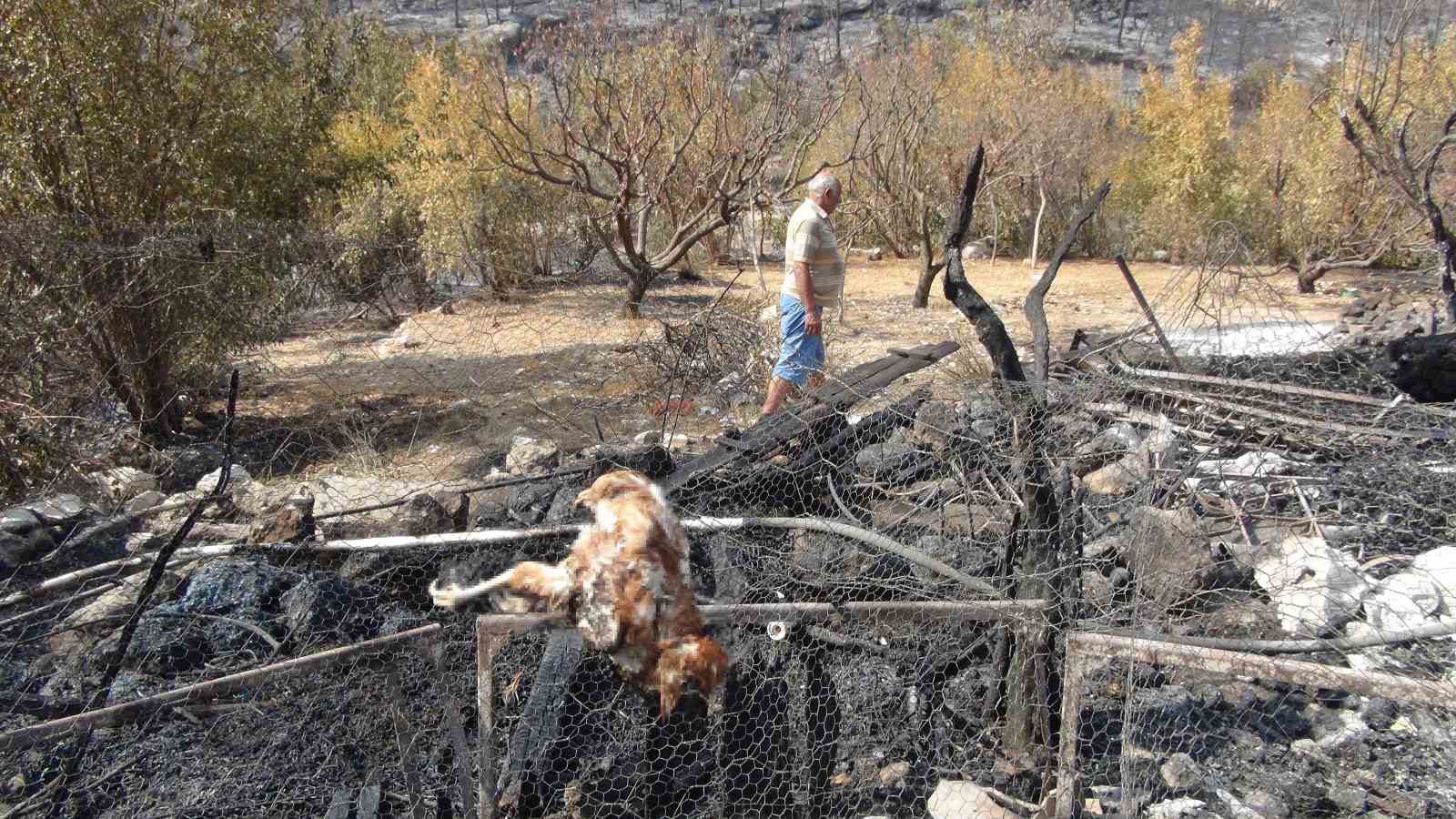 Silifke’deki orman yangını büyük ölçüde kontrol altına alındı