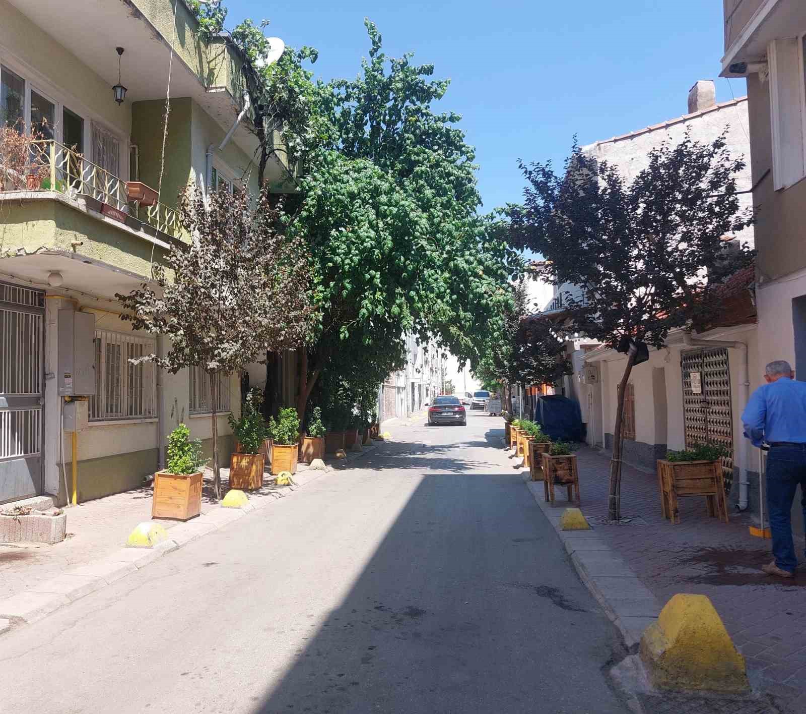 Eskişehir’de doğa, evle bütünleşti