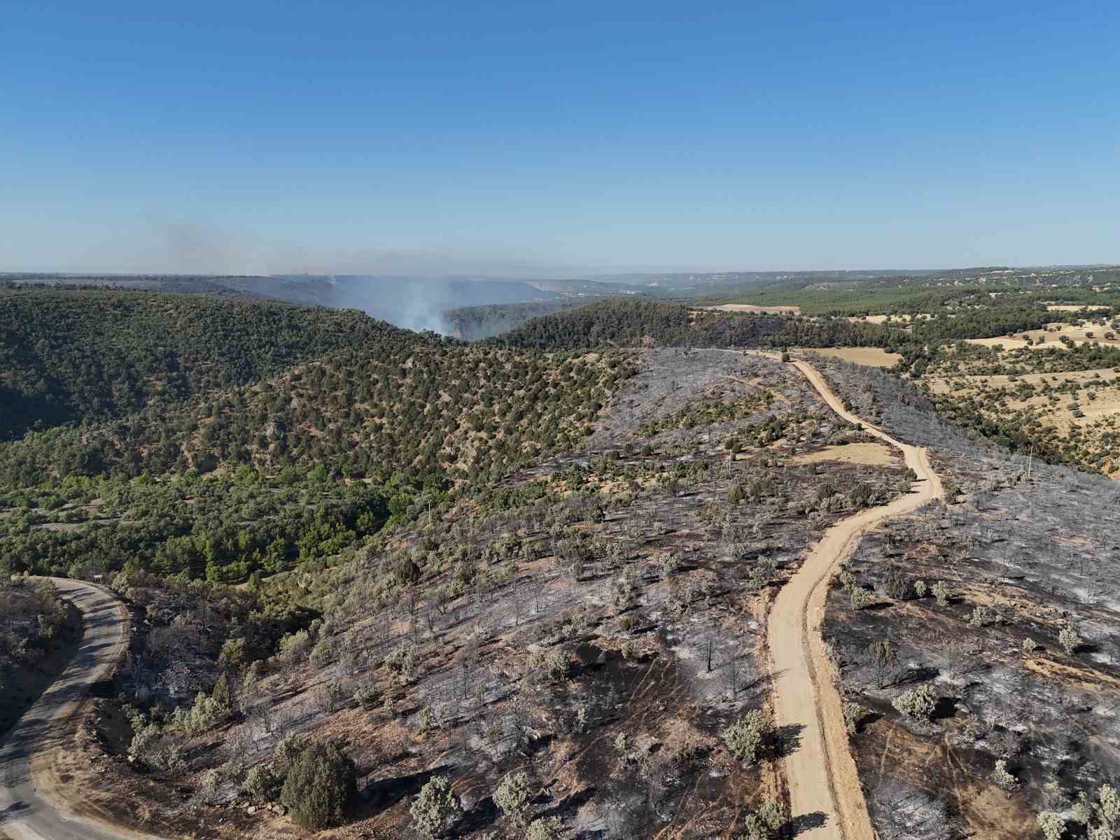 Uşak&rsquo;ta devam eden yangının tahribatı g&uuml;n ışığıyla ortaya &ccedil;ıktı
