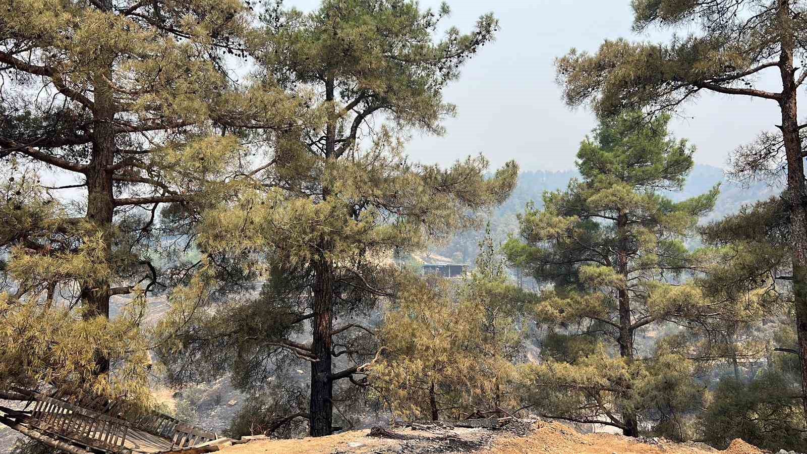 Kahramanmaraş&rsquo;taki orman yangınında 4 ev yandı, 20 ev tahliye edildi
