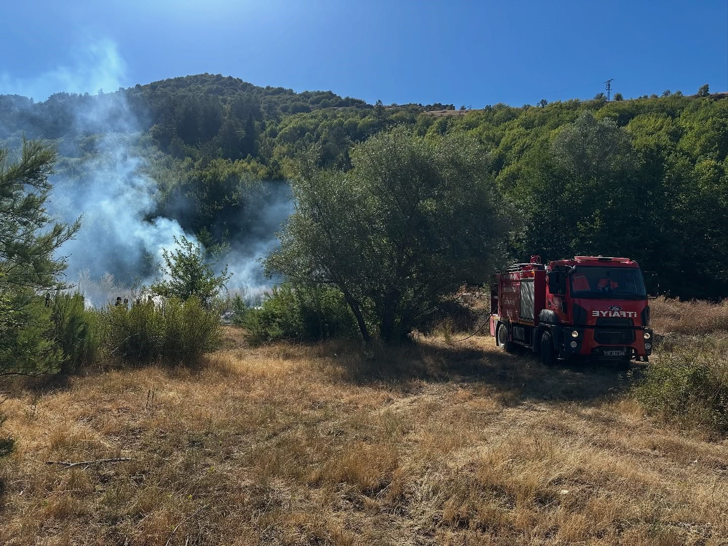 Kastamonu’da ormanlık alanda çıkan yangın büyümeden söndürüldü
