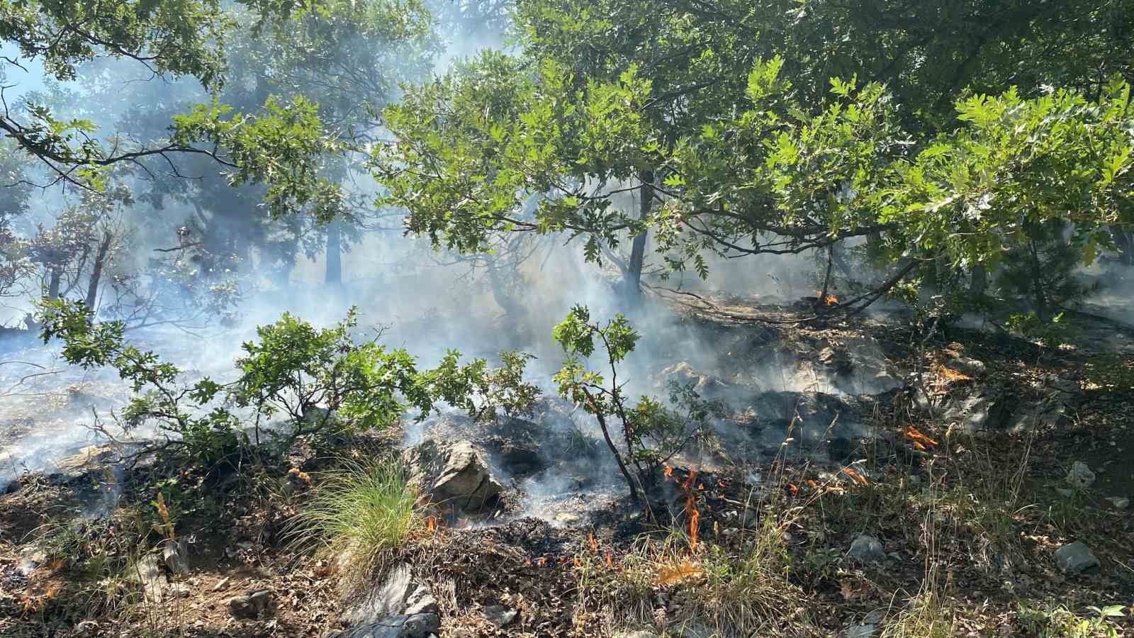 Osmaniye’nin Düziçi ilçesinde orman yangını başladı