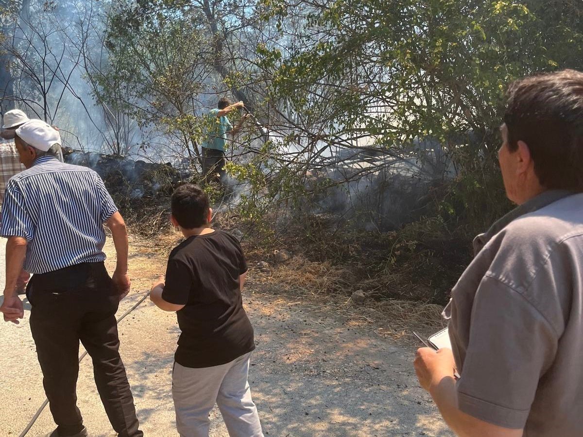 Domaniç’te bahçelik alanda çıkan yangın kısa sürede kontrol altına alındı