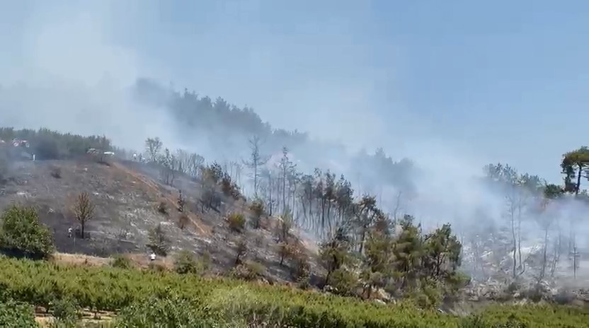 İznik’te orman yangını kontrol altına alındı