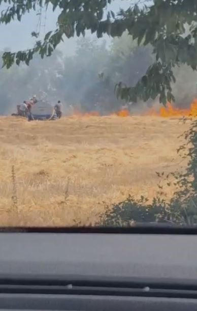 Bolu&rsquo;da korkutan anız yangını, evlere sı&ccedil;ramadan s&ouml;nd&uuml;r&uuml;ld&uuml;
