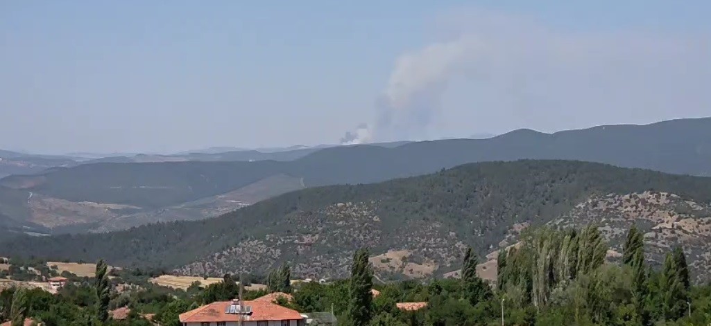Harmancık yangını ikinci g&uuml;n&uuml;nde de devam ediyor
